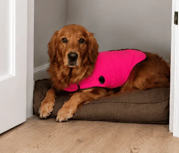 How Our Rescue Dog Finally Slept Through Fireworks (Our Natural Plan)