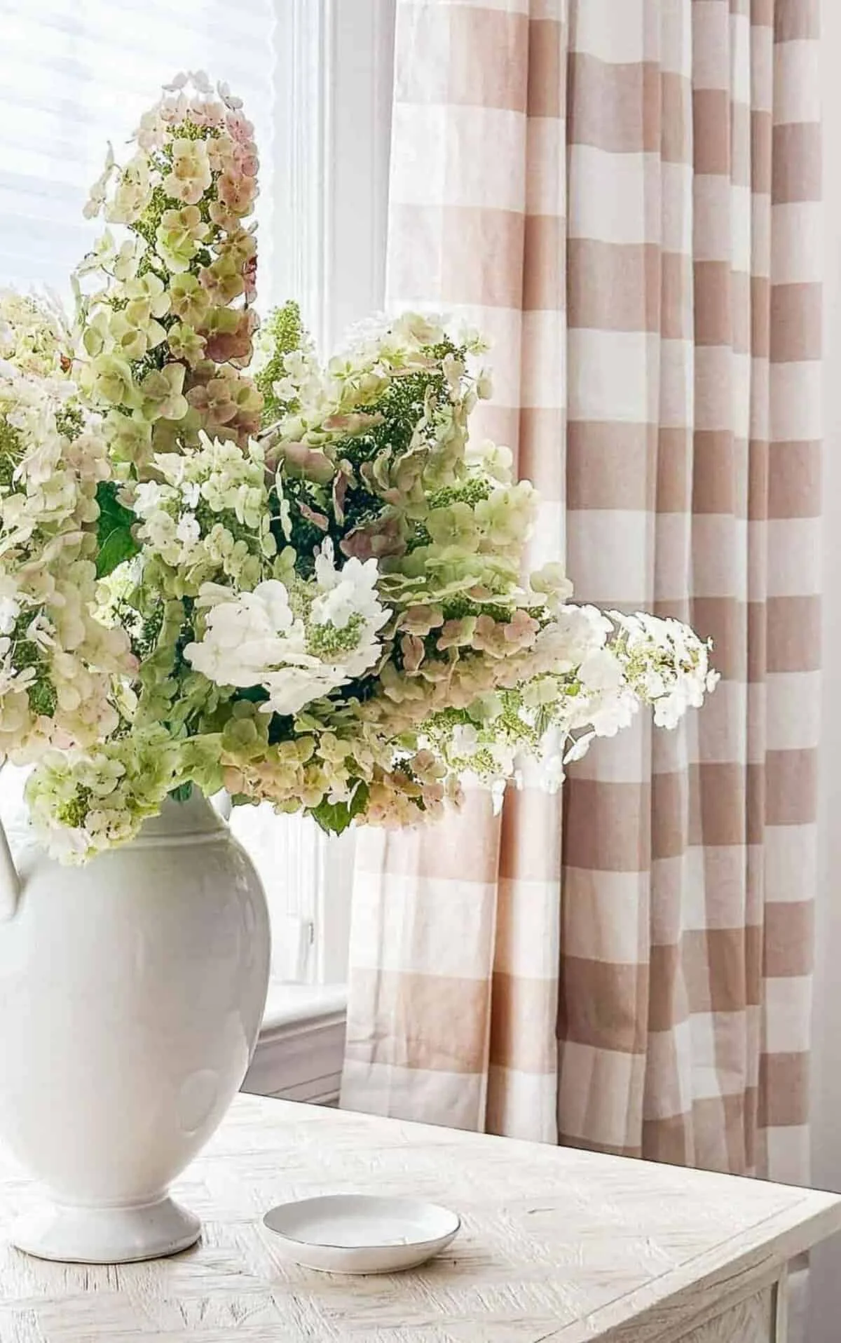 Dried hydrangeas in a cream ceramic pitcher by a window