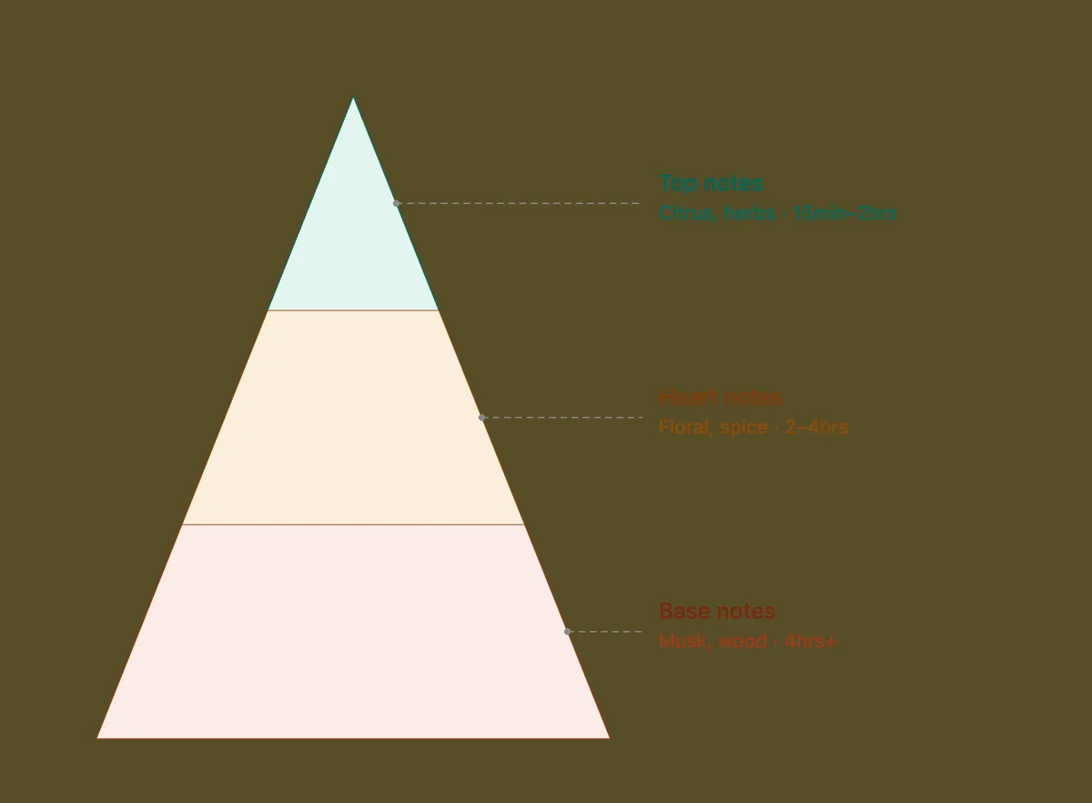 Fragrance pyramid infographic showing top, heart and base note layers