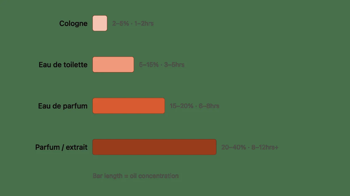 Fragrance concentration chart comparing EDT, EDP and parfum percentages