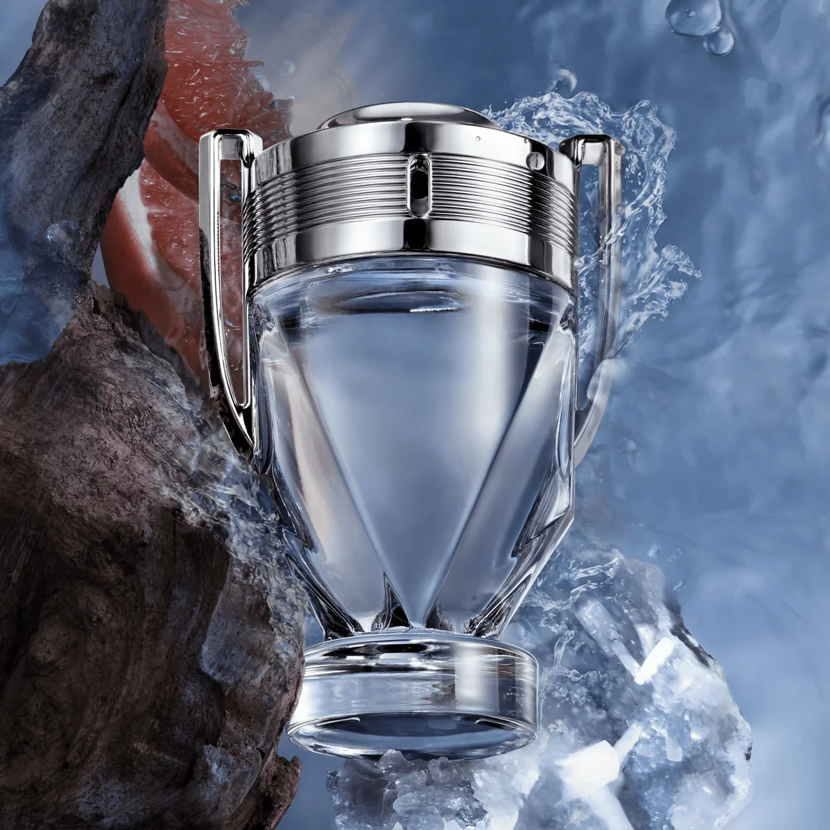 Invictus EDT ingredient and note composition breakdown graphic